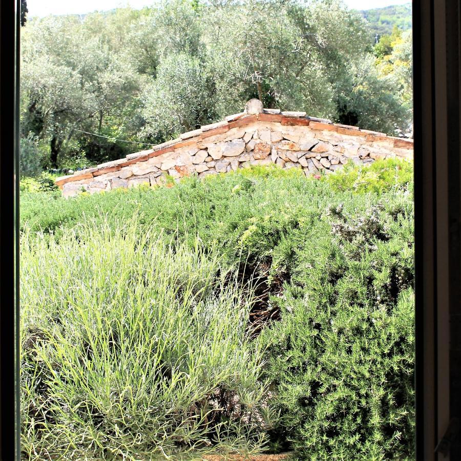 Apartmani Klaudija Valun Luaran gambar
